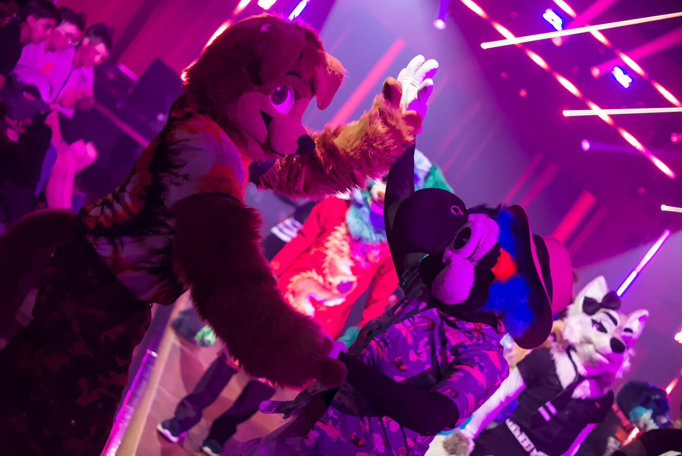 JD Puppy & Lindy Macaw at the FWA 2026 dance comp