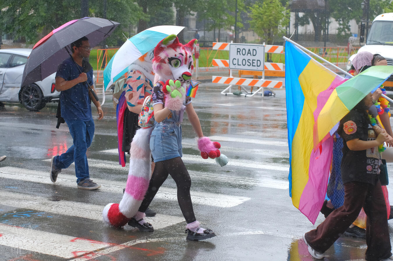 Springfield Pride 2025