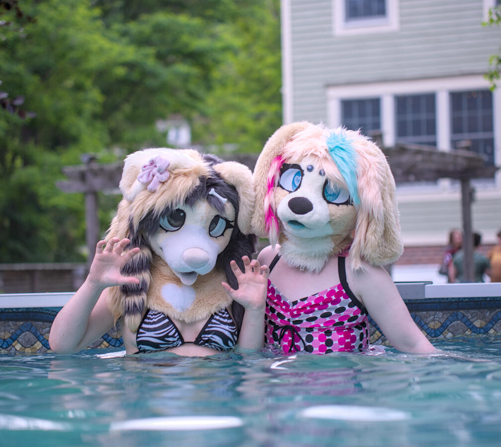Knives & Breakfast posing while swimming
