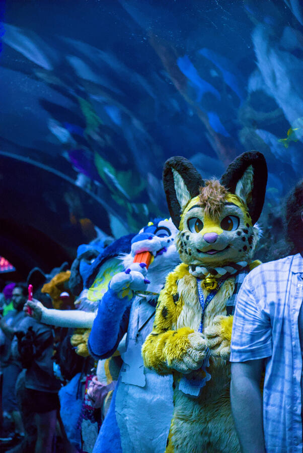 FWA 2026 aquarium takover